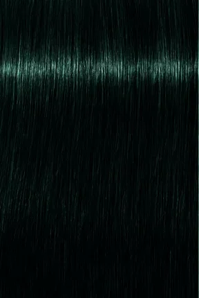 IG RTO LucidNocturnes 4 332 LR.jpeg